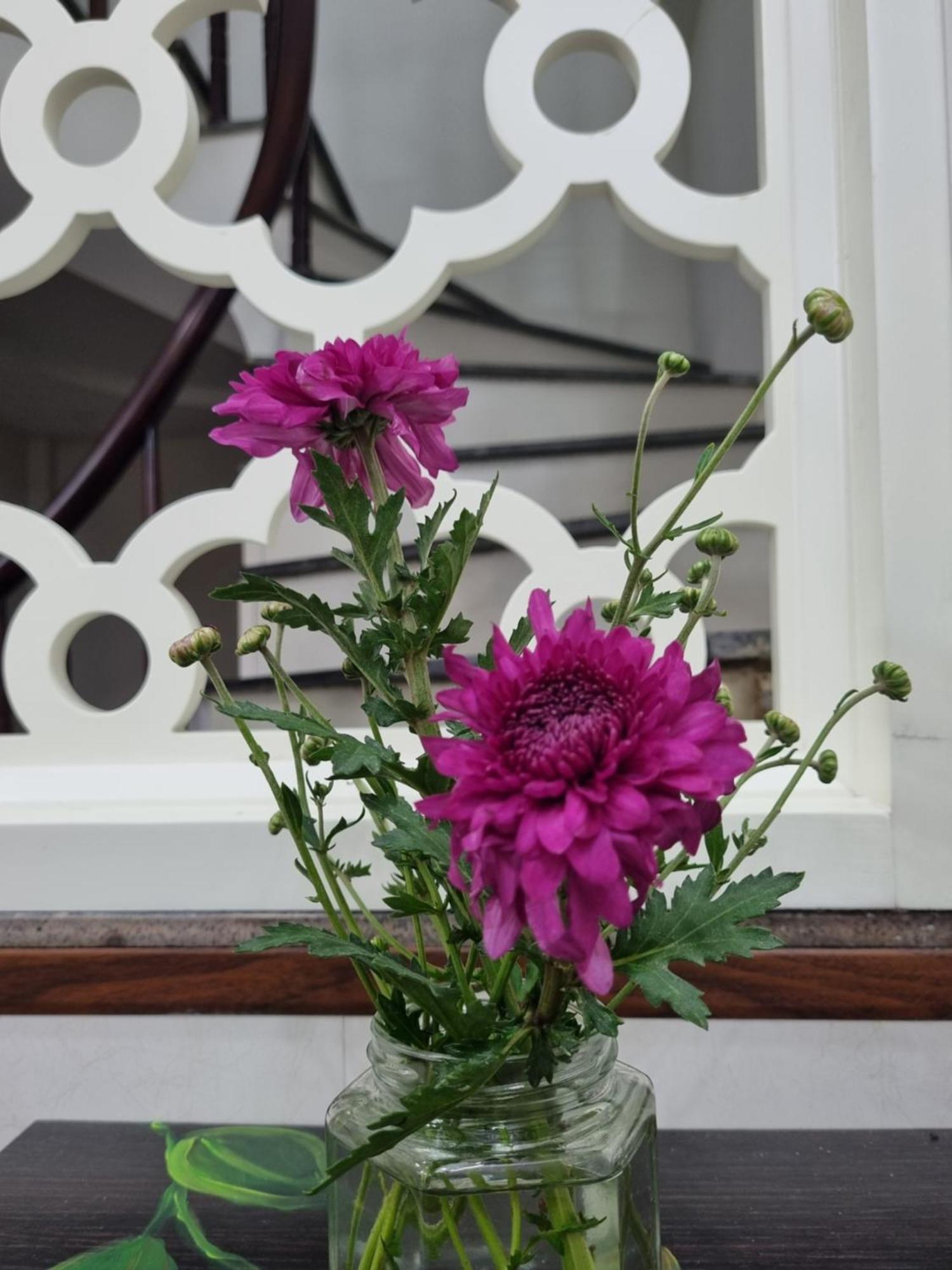 May'S Cottage Hanoi Zimmer foto